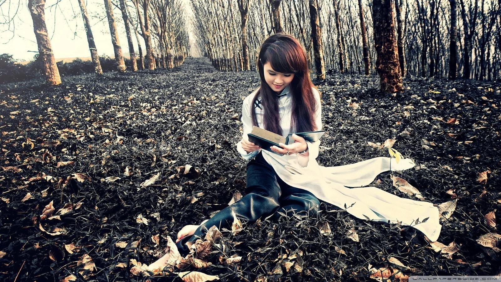 成人女性が落ち葉に覆われた森の中で本を読んでいます。