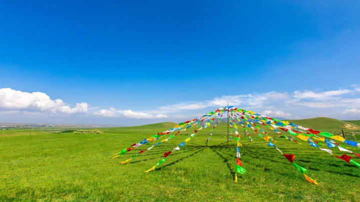 绿色草地上，一根中央立杆向四周延伸出多彩旗带，背景是蓝天和白云。