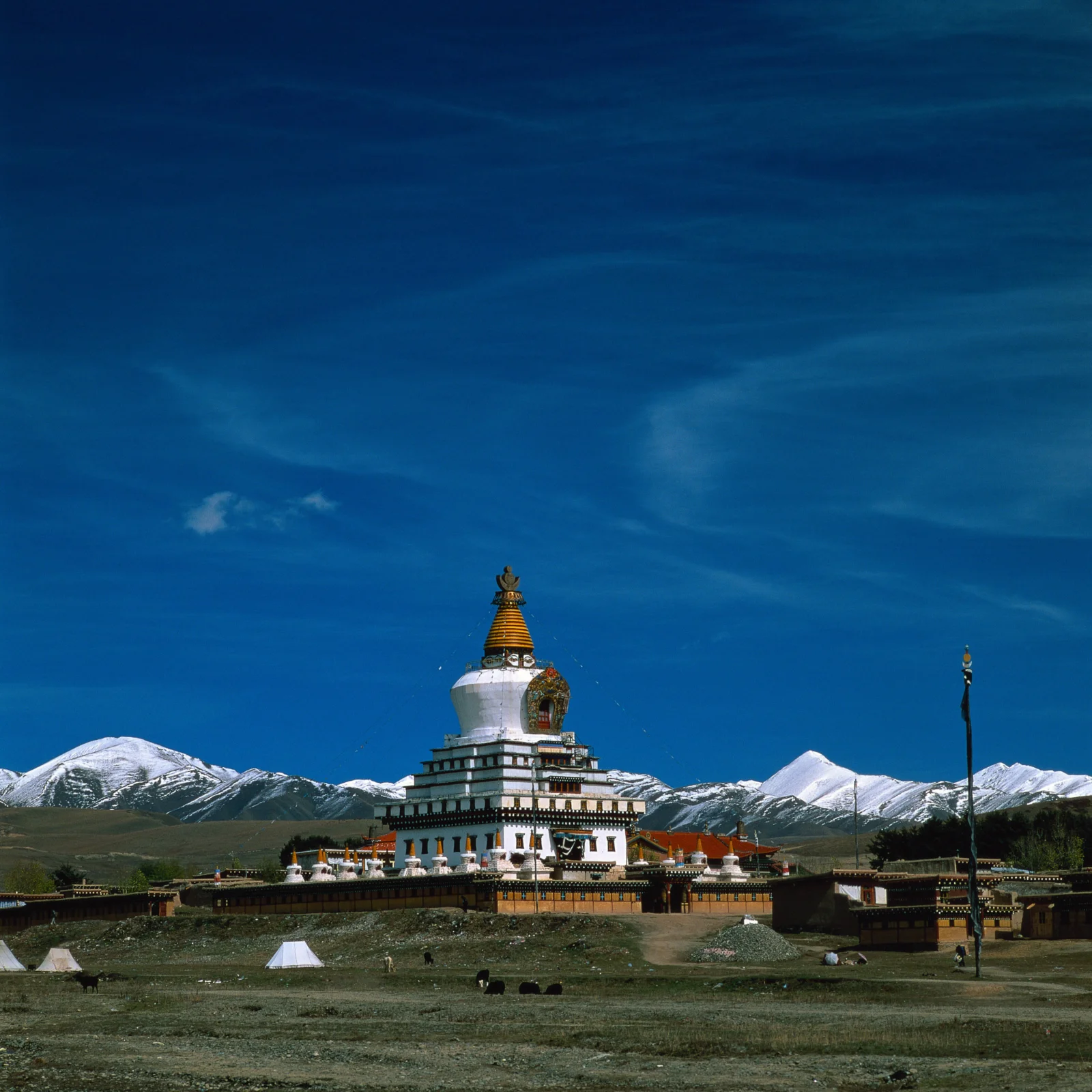 一座白色佛塔矗立在开阔地带，背后是连绵的雪山和深蓝色天空。