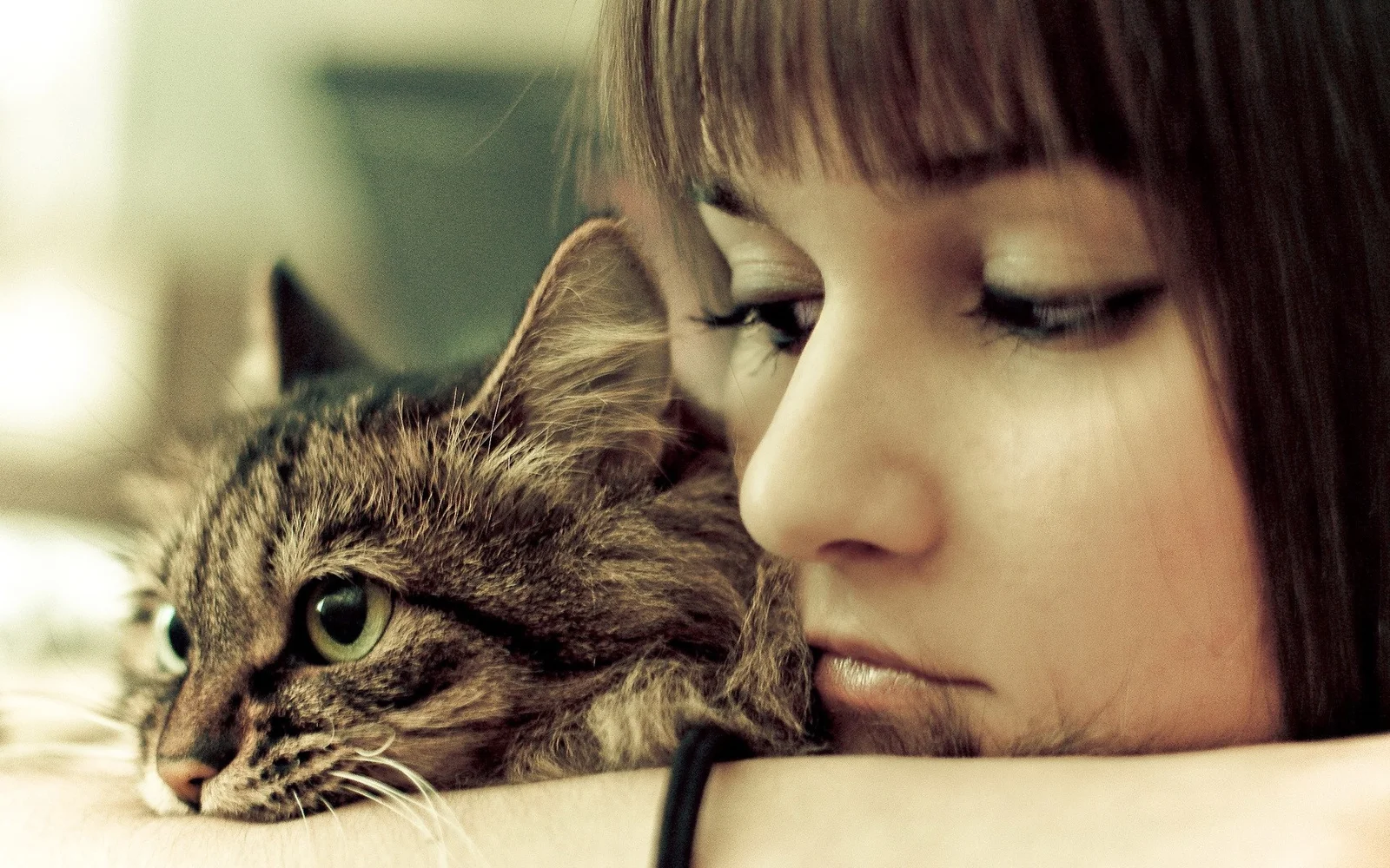 한 여성이 고양이와 다정하게 기대어 있는 따뜻한 클로즈업입니다.