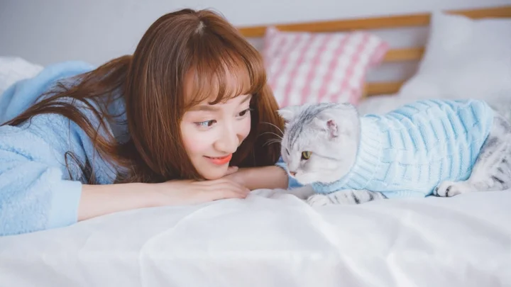 一名女子躺在床上与穿着浅蓝色针织衣的猫咪相互凝视。