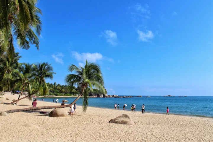 阳光下的热带海滩铺展在碧蓝海水与晴朗天空之间，棕榈树沿着沙岸生长。