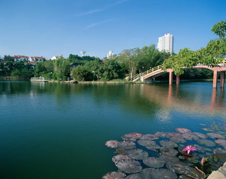 平静的湖面映照着树木、拱桥和远处的建筑，前景漂浮着睡莲叶与一朵粉色莲花。