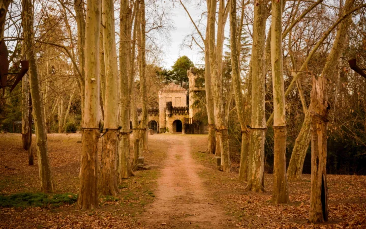 一条林间土路通向远处的石砌小屋，两侧排列着高大的树木。
