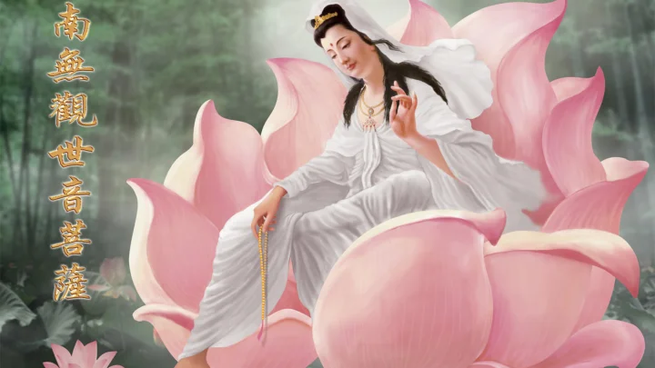 画面展示一位身穿白衣的女性佛教人物坐在粉色莲花上，左侧有竖排中文书法文字。