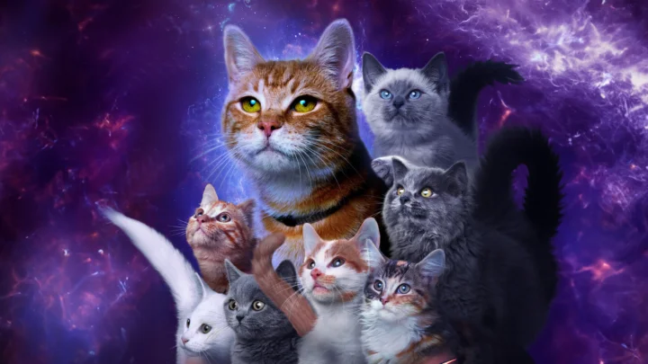 一群猫咪聚集在紫色星云般的背景前。