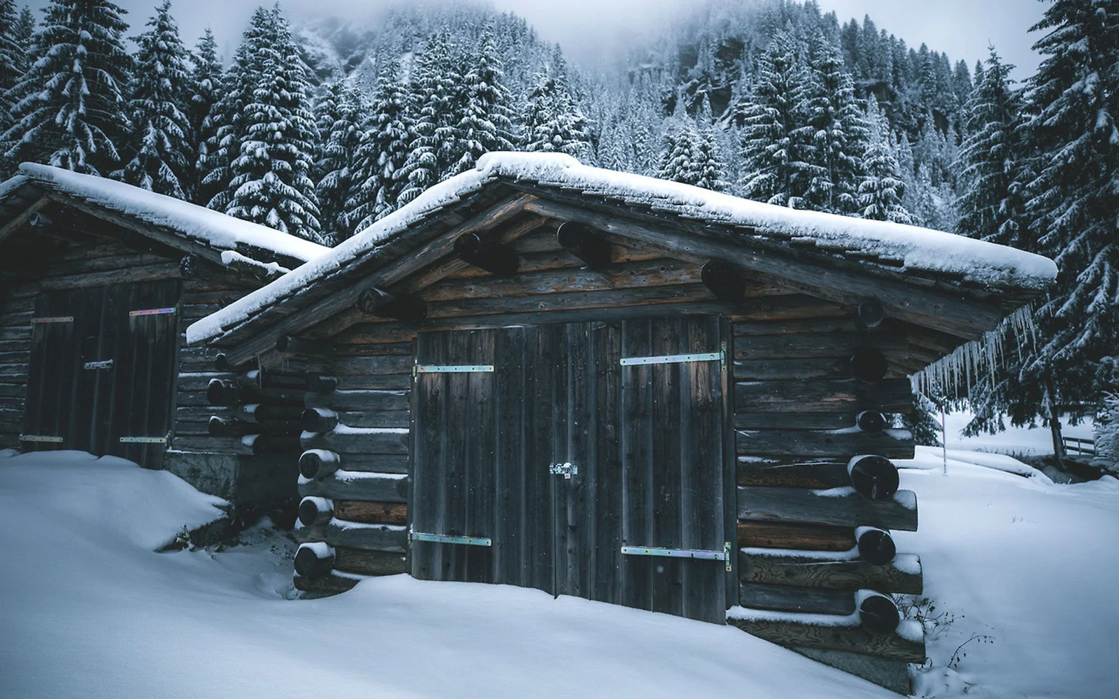 积雪覆盖的木屋坐落在白雪皑皑的针叶林中。