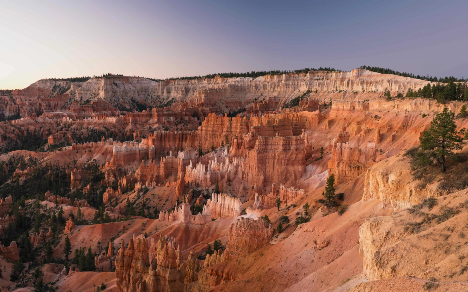 Dramatic red canyon cliffs and layered rock formations stretch into the distance, dotted with sparse pine trees.