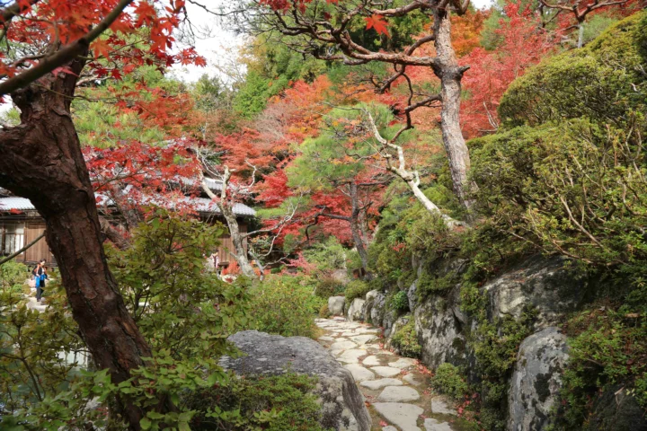 红叶树木、岩石与蜿蜒的石板小径构成一处宁静的秋日庭园景色。