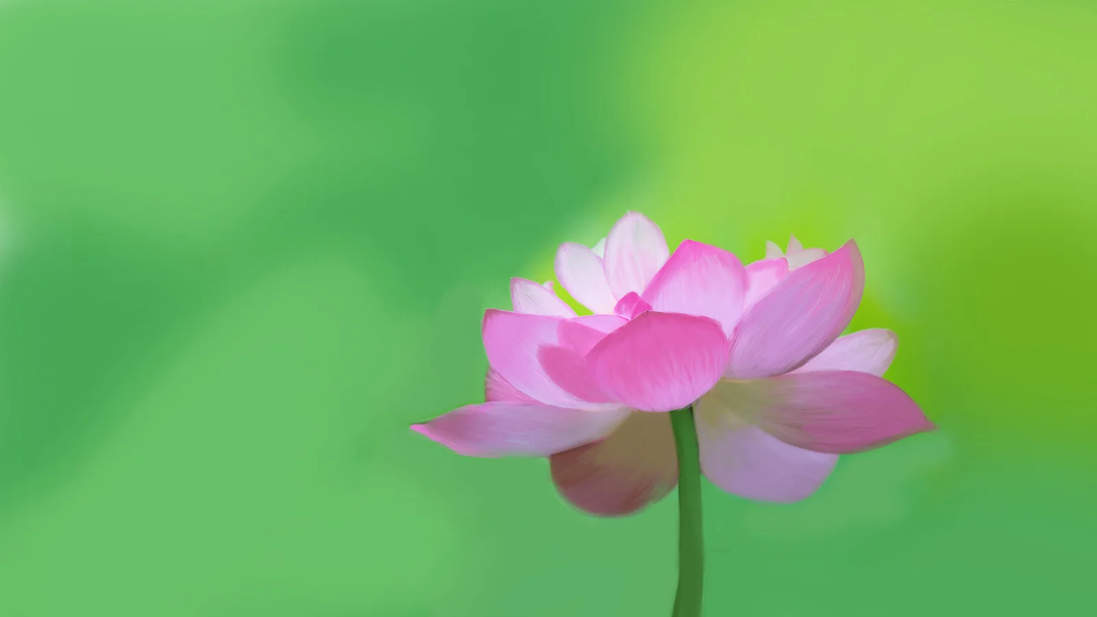 부드럽게 흐려진 초록색 배경 앞에 분홍색 연꽃이 피어 있습니다.