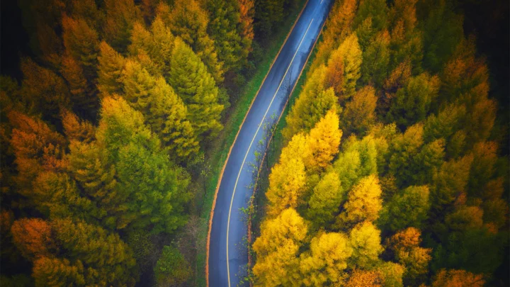 一条蜿蜒的公路穿过色彩浓郁的秋季森林。