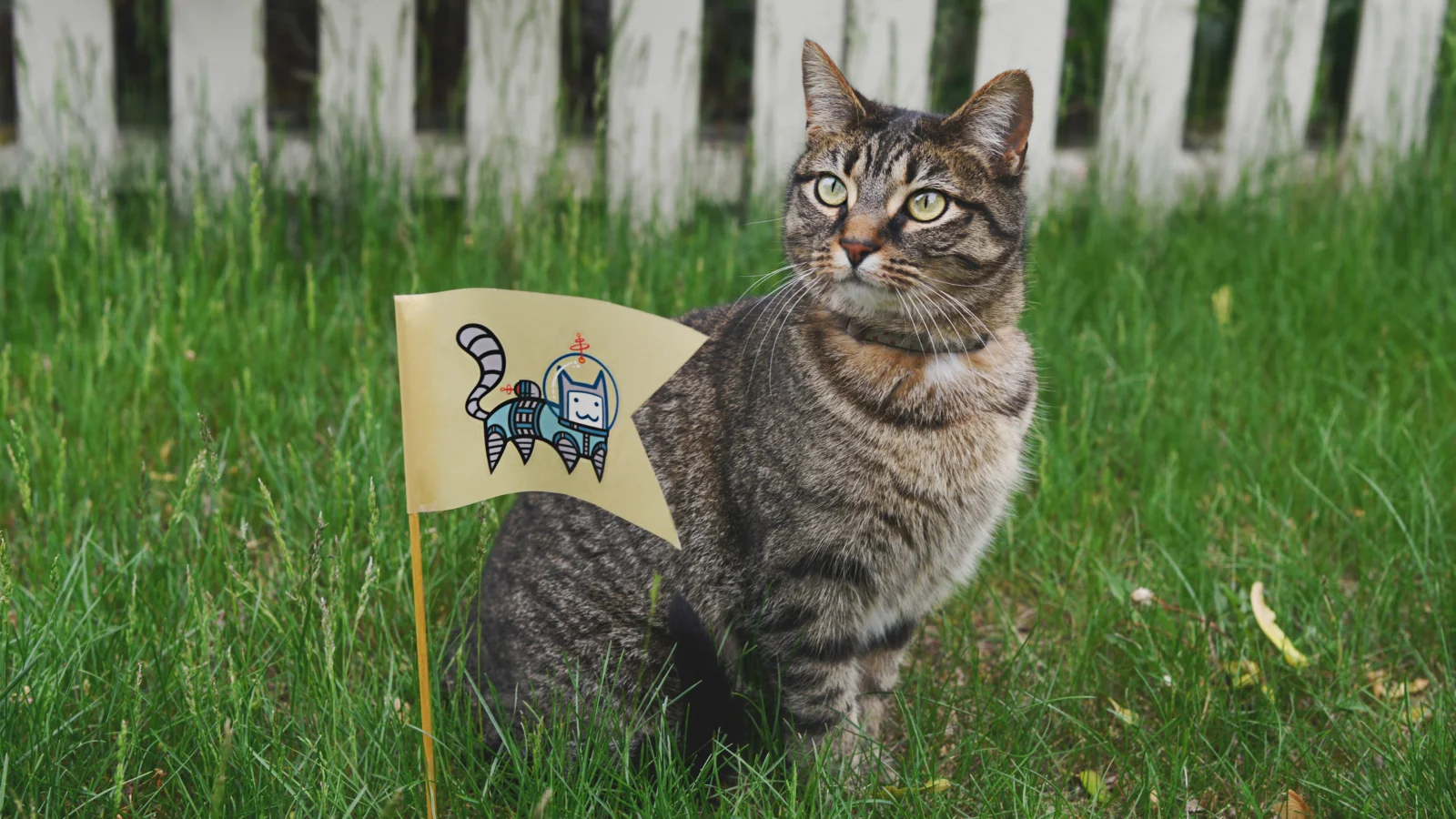 一只虎斑猫坐在草地上，旁边插着一面印有插画的旗帜。