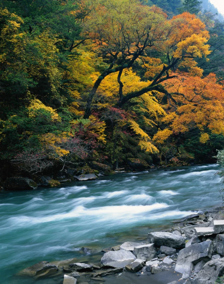风景壁纸 193