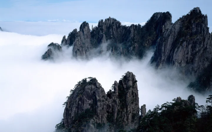 险峻的岩石山峰和松树从翻涌的云海中露出，呈现出壮观的自然景观。