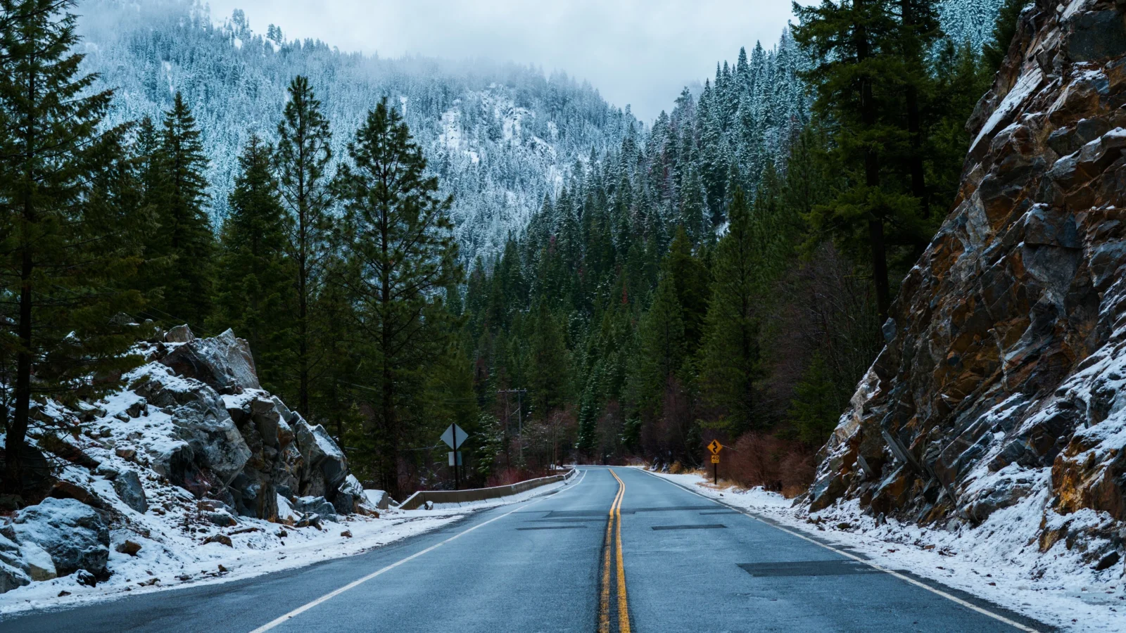一条穿过积雪松林与山谷的公路通向远处的雪山。