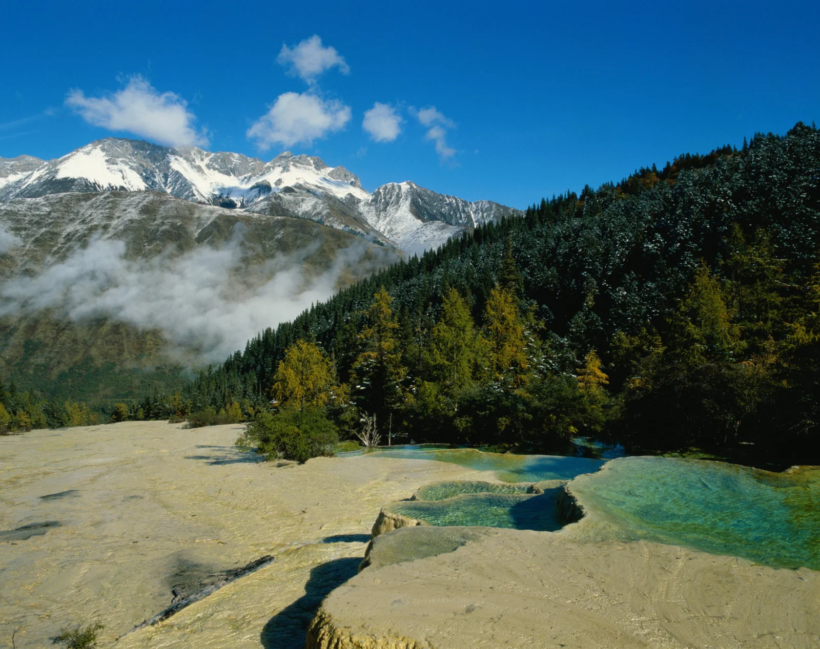 蓝天下的雪山、森林与碧绿色溪流构成宁静的自然风景。