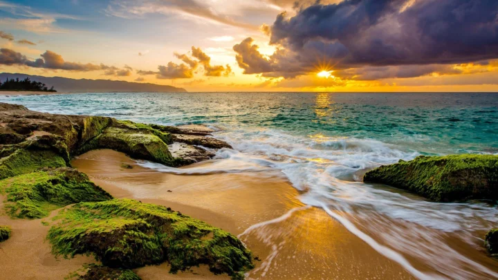 夕阳照耀下的海岸沙滩、海浪与覆满绿苔的岩石构成宁静的自然景色。