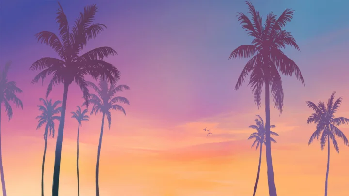 多棵棕榈树以深色剪影映衬在粉橙渐变的夕阳天空中。