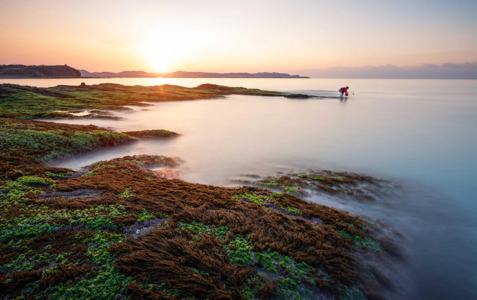 夕阳映照着宁静海面与长满海藻的礁石海岸。