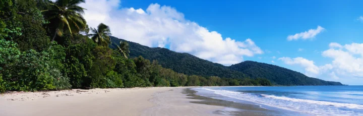 阳光下的热带海滩延伸至远处的森林山脉，海浪轻拍着岸边。