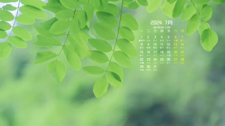 画面中垂落着茂密的绿色叶片，背景是一片柔和的朦胧绿意，右上方叠有白色日历文字。