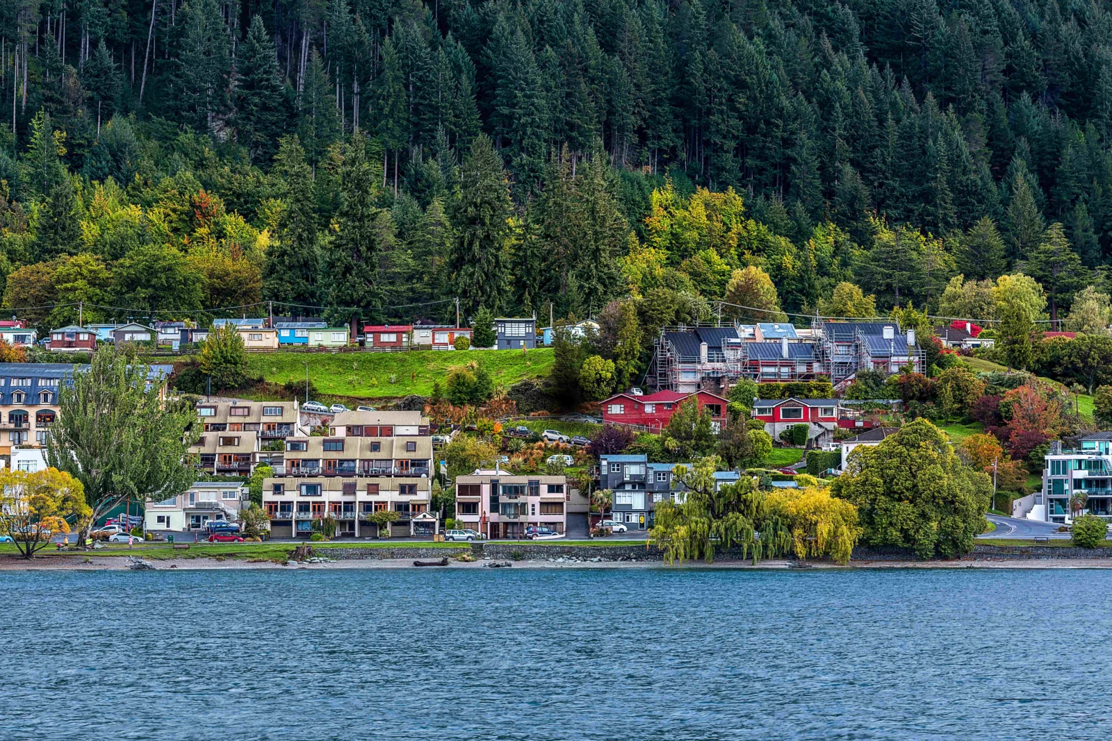湖水前方是一片沿山坡分布的湖畔住宅区，后方覆盖着茂密森林。