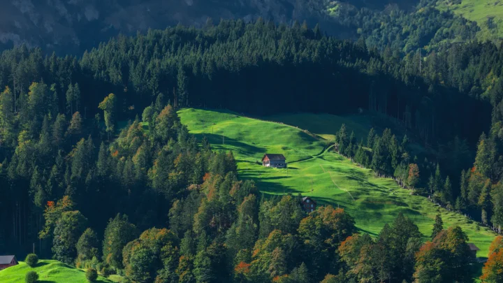 阳光照耀着森林环抱的绿色山谷和草地，远处可见山坡与几座小屋。