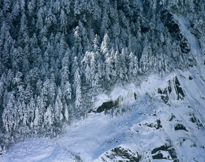 覆满积雪的针叶林延伸至冰雪覆盖的岩壁，呈现冷冽的冬季山地景色。