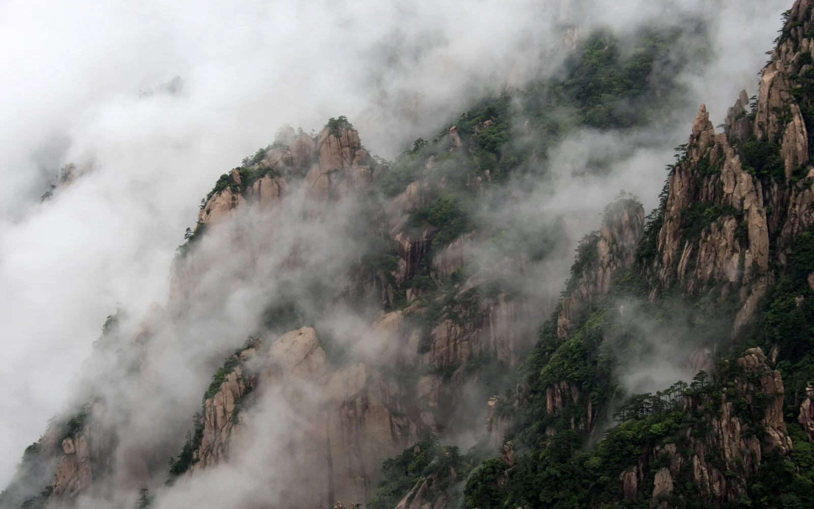 云雾缭绕的陡峭山峰与森林构成了朦胧壮丽的自然景观。