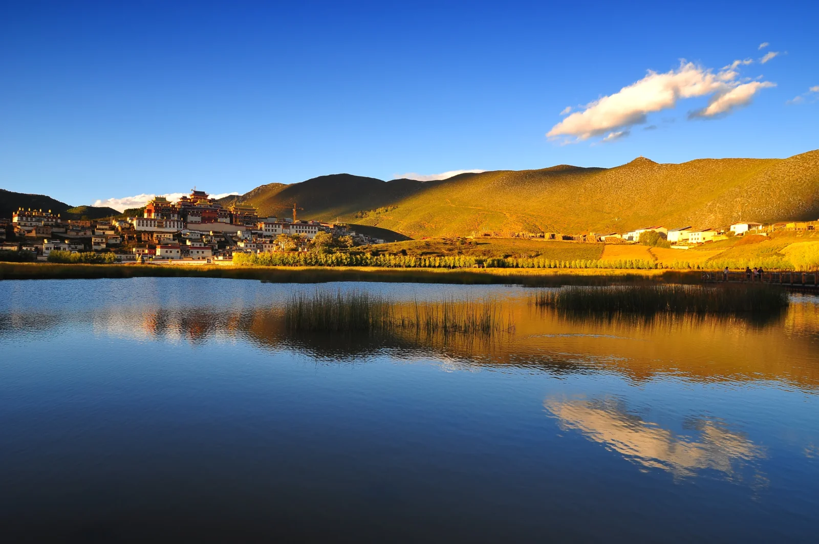 蓝天下的湖泊倒映着山峦、岸边建筑和远处的寺院。