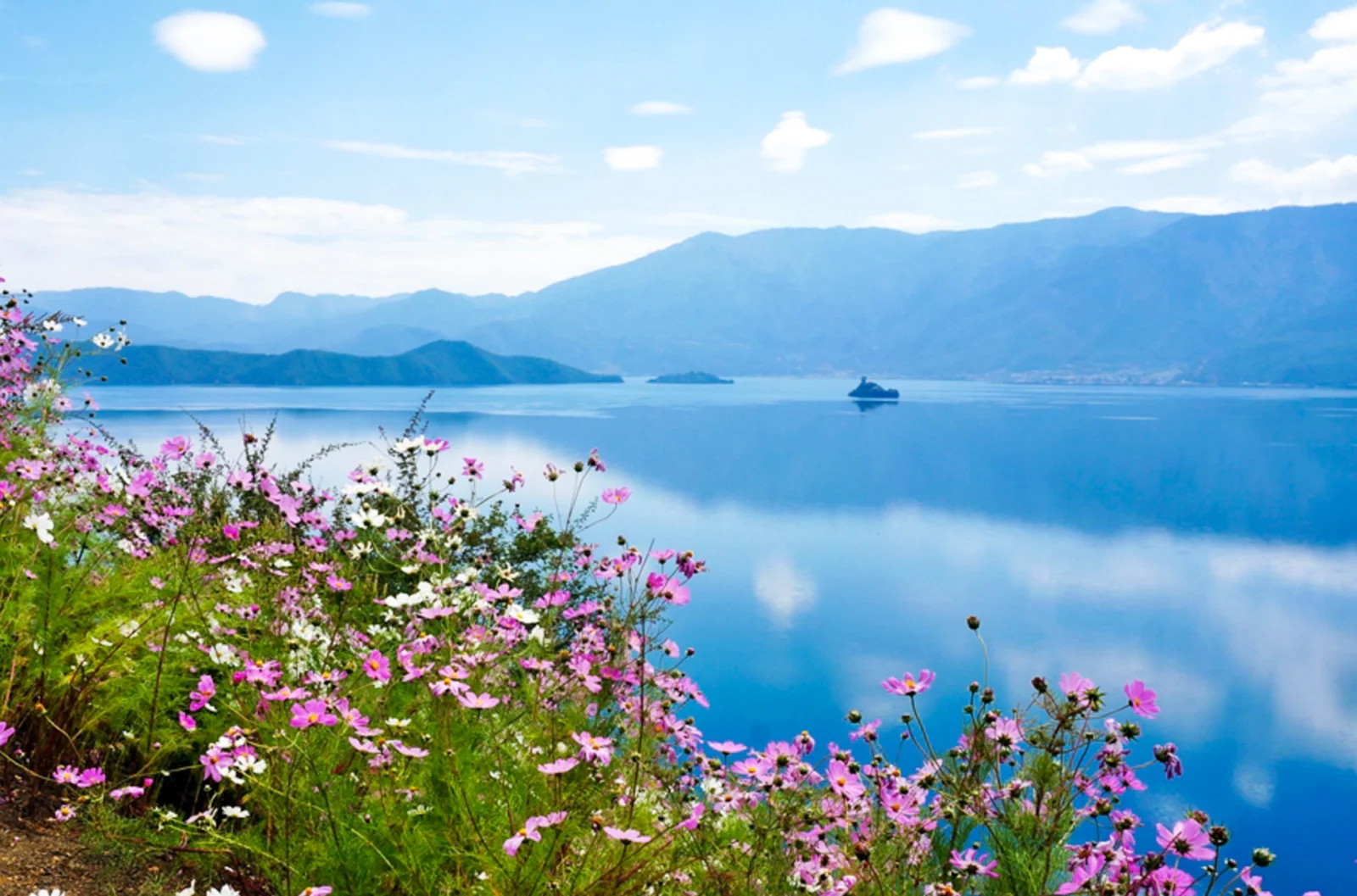 静かな湖面に遠くの山々と青空が映り、前景にはピンクと白の野花が咲いています。