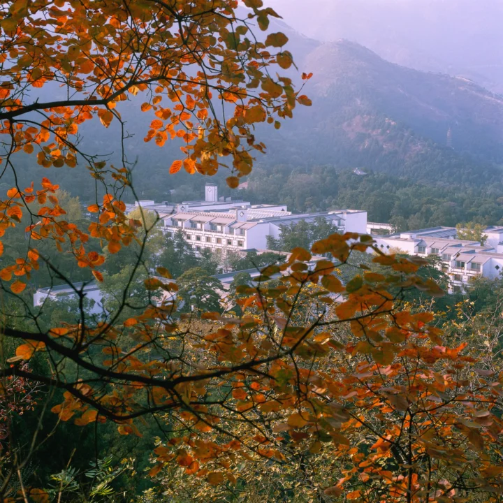 橙红色秋叶掩映着远处的山林和山间建筑。