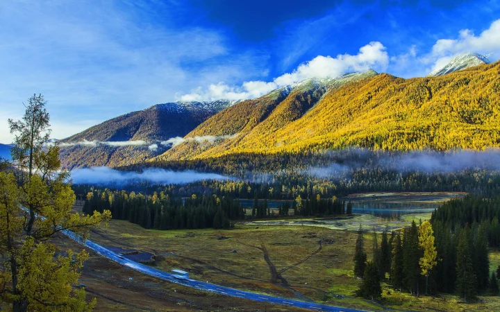 金色秋林环绕着高山、云雾和山谷中的溪流。