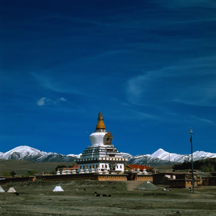 一座白色佛塔矗立在开阔地带，背后是连绵的雪山和深蓝色天空。