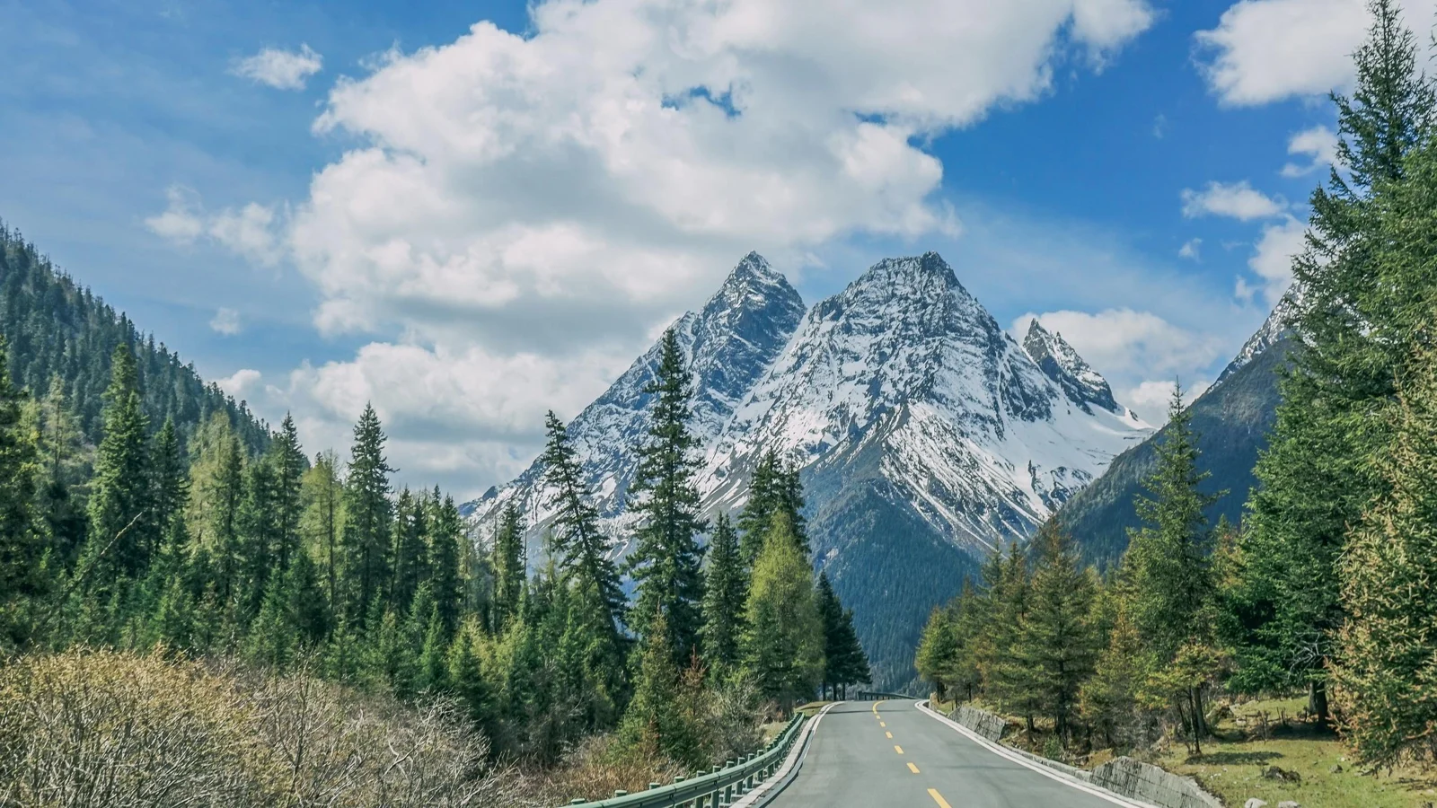 一条公路穿过森林，通向云朵下的积雪群山。