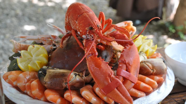一盘摆放着龙虾、虾和柠檬片的海鲜拼盘。