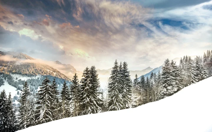 白雪覆盖的针叶林延伸在山谷与群山之间，天空中布满绚丽的冬日云彩。