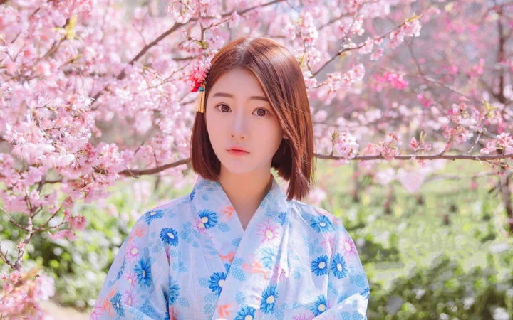 一名身穿浅蓝色花卉和服的女性站在盛开的樱花树下。