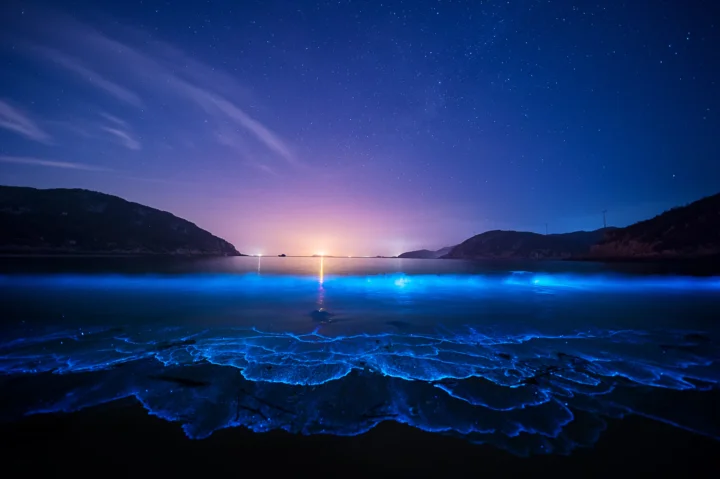 夜晚的海岸在星空和远处山峦映衬下泛起蓝色荧光。