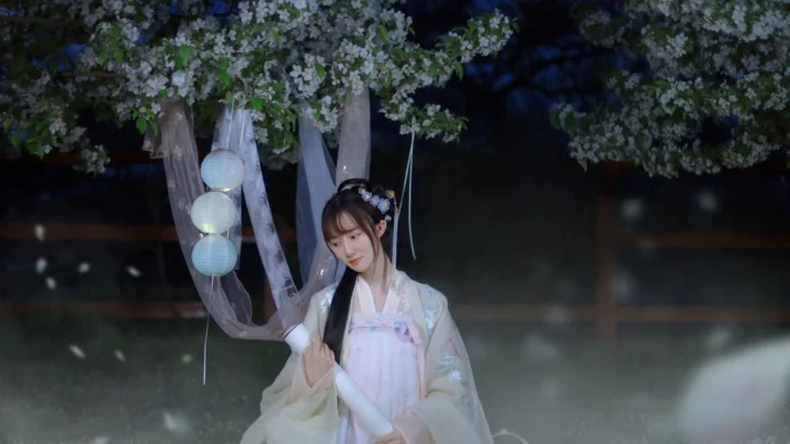 一位身穿传统服饰的女子站在夜色中的花树与灯笼之间。