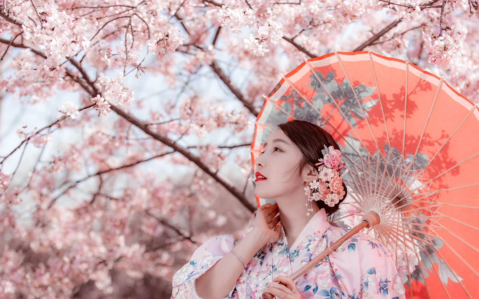 만개한 벚꽃나무 아래에서 여성이 붉은 양산을 들고 있다.