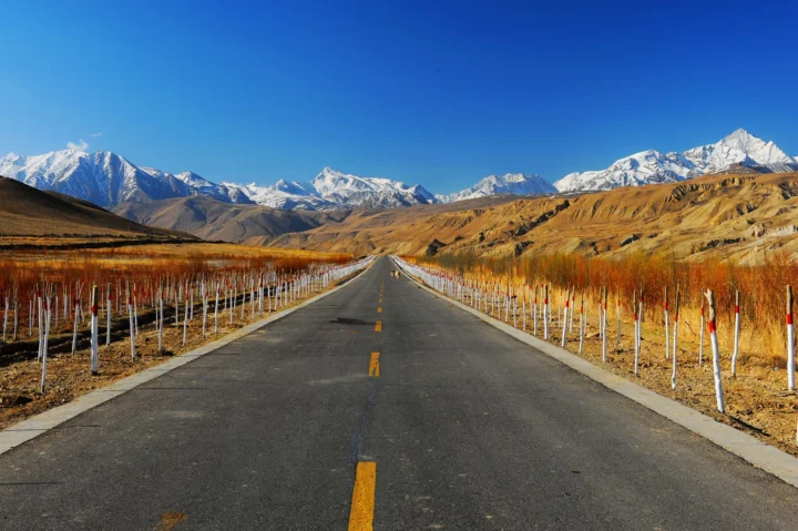 一条笔直的公路穿过金色山谷，远处耸立着连绵的雪山，天空湛蓝。