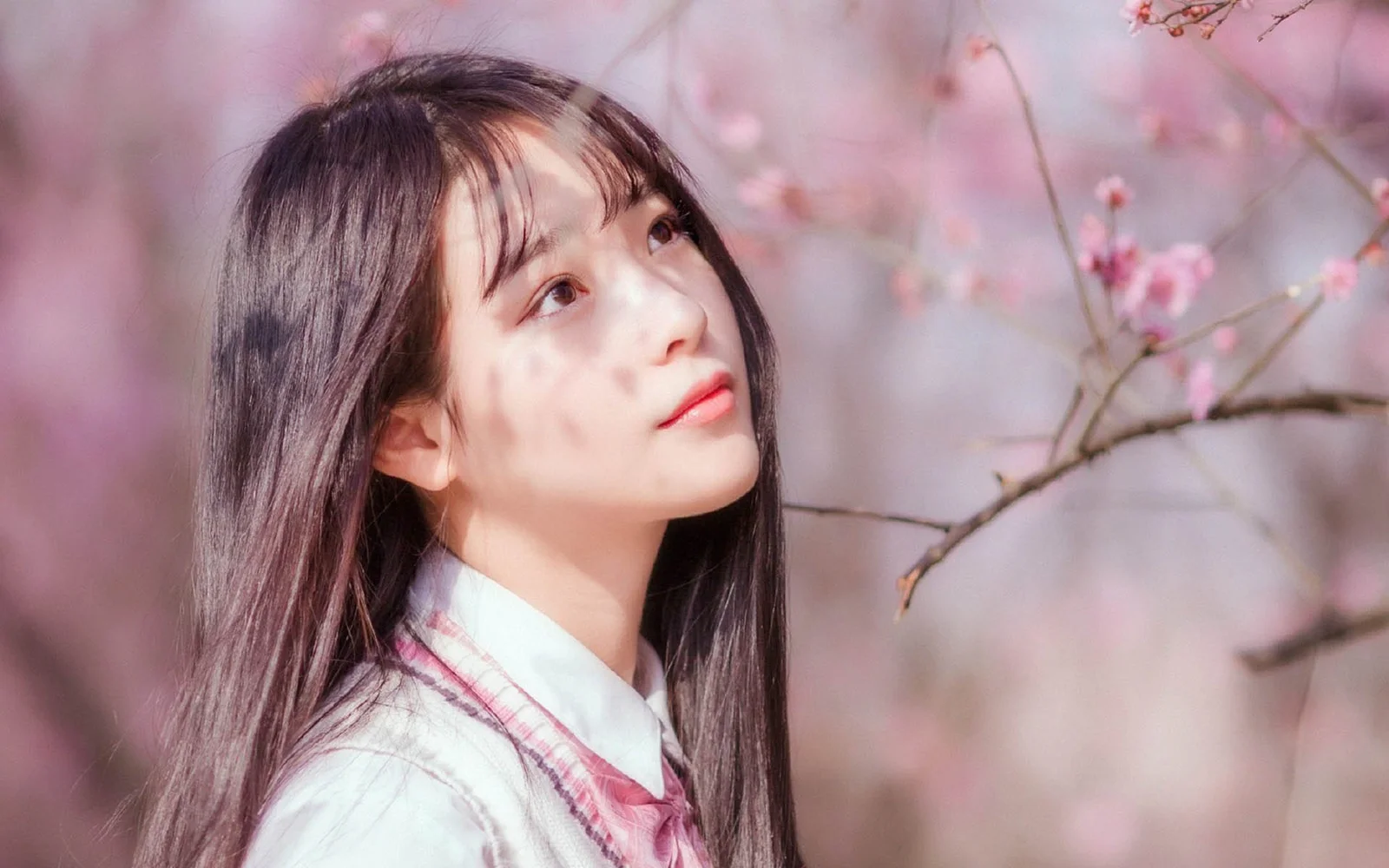 一名长发女子站在粉色樱花枝旁，柔和光线映衬着她的侧脸。