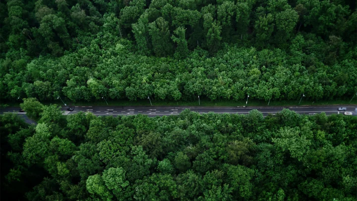 上空から見た、緑豊かな森林に囲まれた道路の風景です。