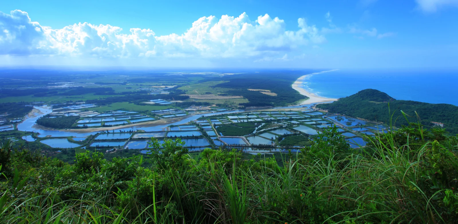 从高处俯瞰海岸、湿地水塘、绿色田野与蓝色海洋，天空中点缀着大片白云。