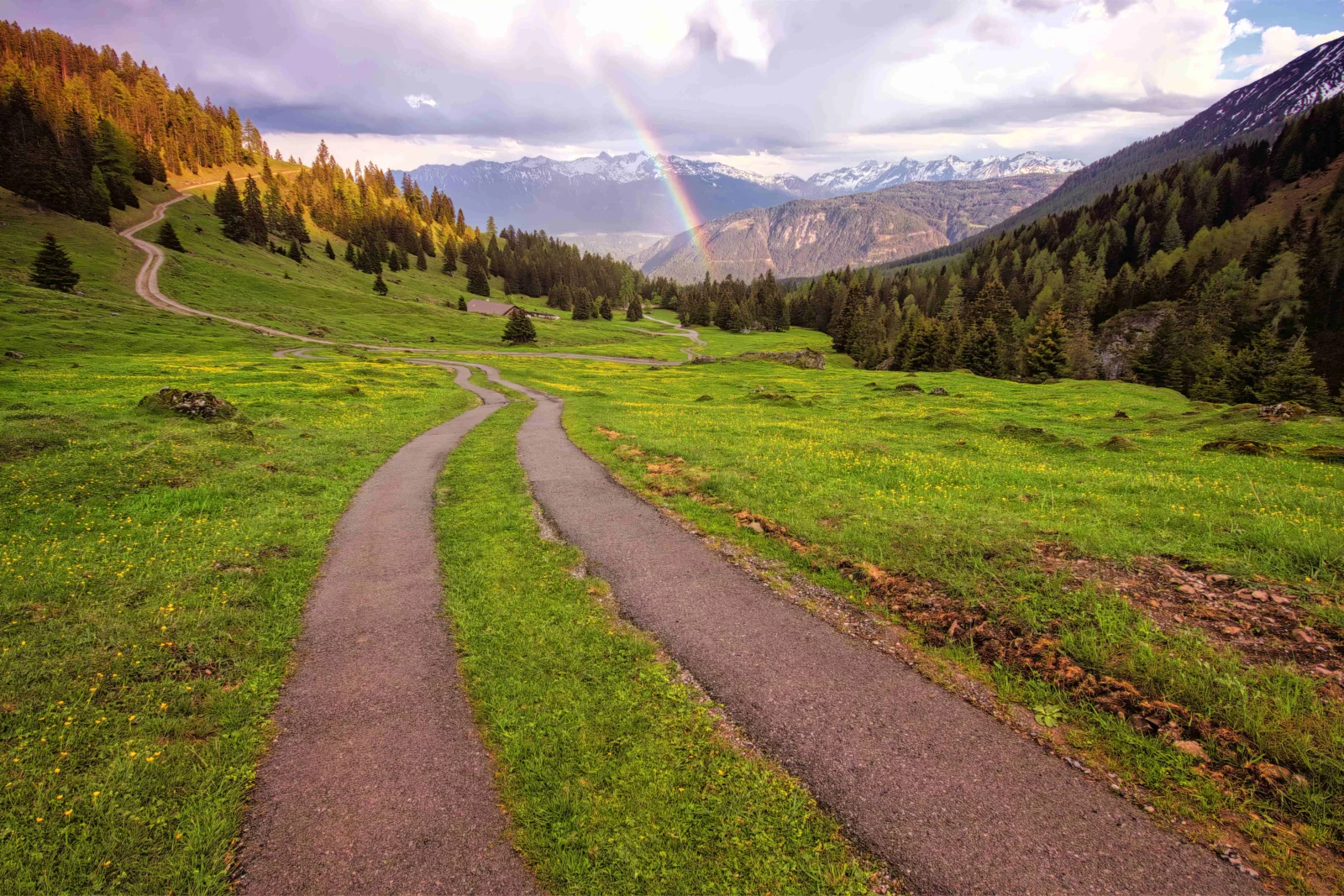一条小路穿过鲜绿的山谷草地，远处是森林、群山和雨后的彩虹。