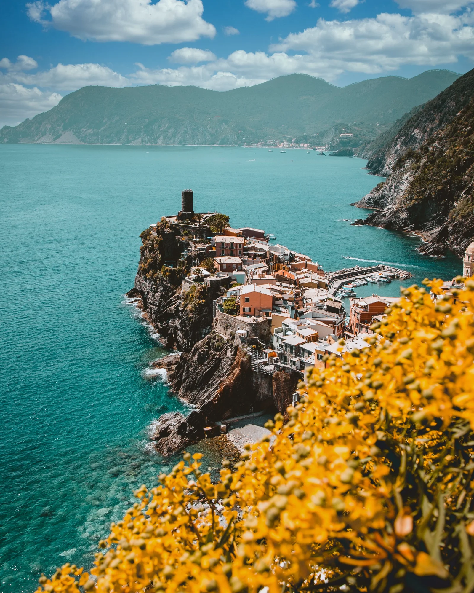 碧蓝海水环绕着悬崖上的海滨村落，远处是连绵山脉，前景点缀着金黄色花叶。