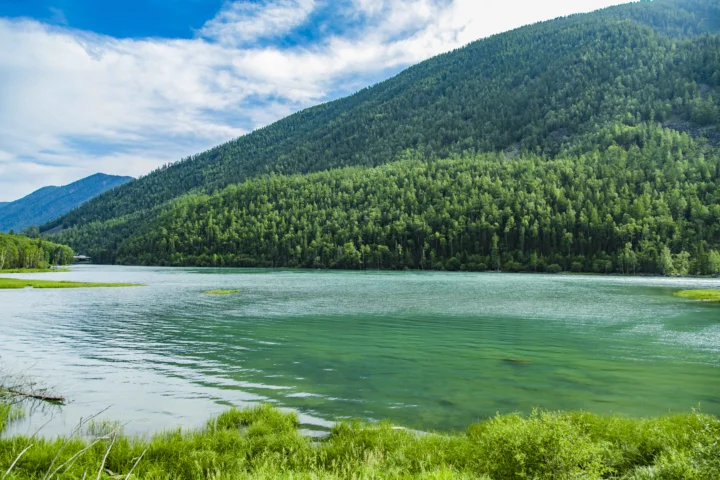 青翠森林覆盖的山坡环绕着碧绿色湖泊，前景是明亮的湖岸草地，天空飘着白云。
