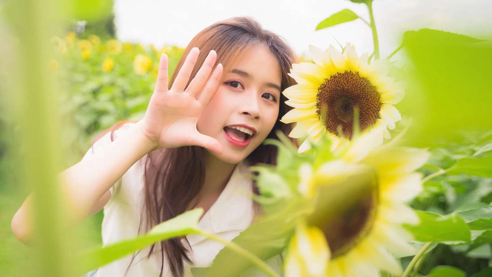 한 여성이 활짝 핀 해바라기와 초록 잎 사이에서 미소 지으며 손을 흔들고 있습니다.