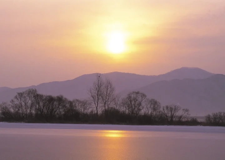 夕阳映照着远处的群山、裸树和宁静河面，水中泛起金色倒影。